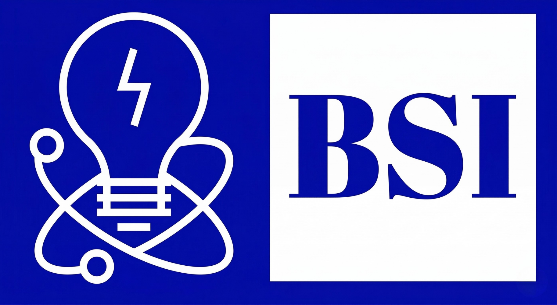 BSI Logo